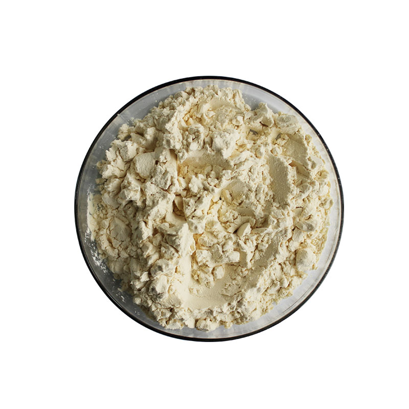 Papain-product information.pdf